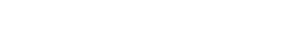 Our Business